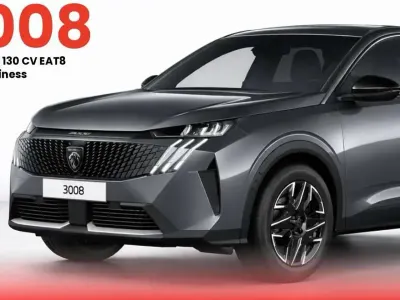 Usata Peugeot 3008 Business-Line 131 CV (96 kW) 2021 Argento SUV