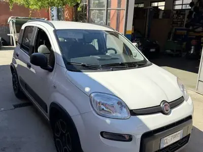 Usata Fiat Panda City Life 69 CV (50 kW) 2022 Utilitaria