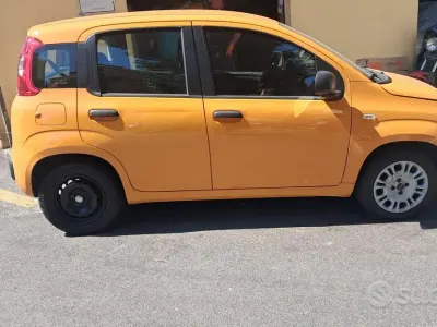 Usata Fiat Panda 69 CV (50 kW) 2017 Arancione Utilitaria