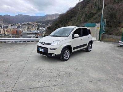 Usata Fiat Panda 4x4 75 CV (55 kW) 2013 Beige Utilitaria