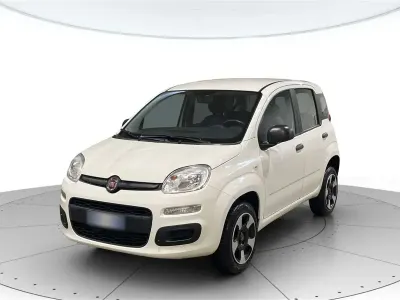 Usata Fiat Panda Easy 71 CV (52 kW) 2020 Bianco gelato Utilitaria