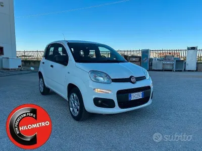 Usata Fiat Panda Easy 70 CV (51 kW) 2018 Bianco Utilitaria