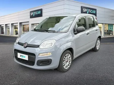 Usata Fiat Panda S 70 CV (51 kW) 2021 Grigio Utilitaria
