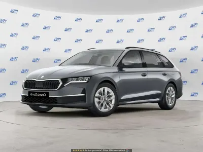 Usata Skoda Octavia