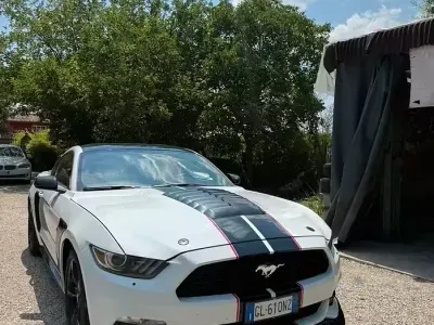 Usata Ford Mustang 291 CV (214 kW) 2022 Bianco Coupé