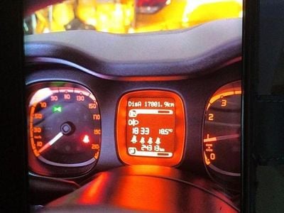 Usata Fiat Panda Cross Cross 69 CV (50 kW) 2023 Verde Utilitaria