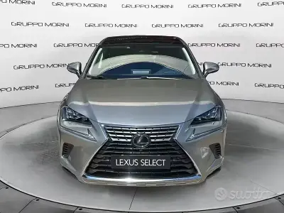 Usata Lexus NX300h Luxury Line 197 CV (144 kW) 2020 Other SUV