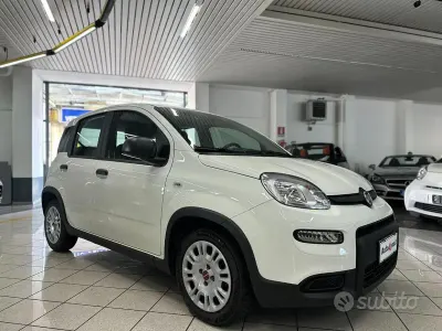 Usata Fiat Panda S 69 CV (50 kW) 2024 Bianco Utilitaria