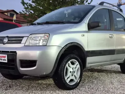 Usata Fiat Panda 4x4 Emotion 69 CV (50 kW) 2006 Argento Utilitaria