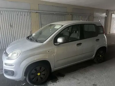 Usata Fiat Panda Young 69 CV (50 kW) 2014 Grigio Utilitaria