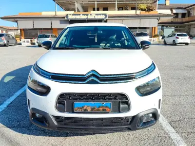 Usata Citroën C4 Cactus 102 CV (75 kW) 2019 Bianco Utilitaria
