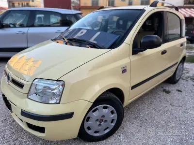 Usata Fiat Panda Dynamic 60 CV (44 kW) 2012 Giallo Utilitaria