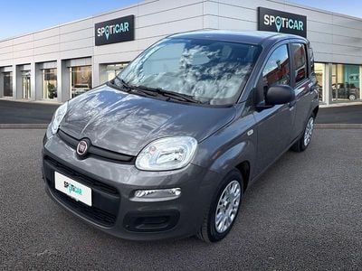 Usata Fiat Panda S 69 CV (50 kW) 2021 Grigio Utilitaria