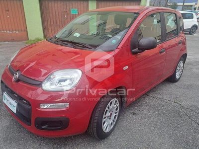 usata Fiat Panda 1.2 Easy