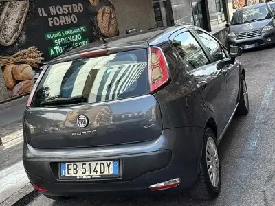 Usata Fiat Punto Evo 77 CV (56 kW) 2010 Grigio Utilitaria