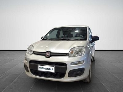 Usata Fiat Panda Easy 69 CV (50 kW) 2019 Grigio Utilitaria