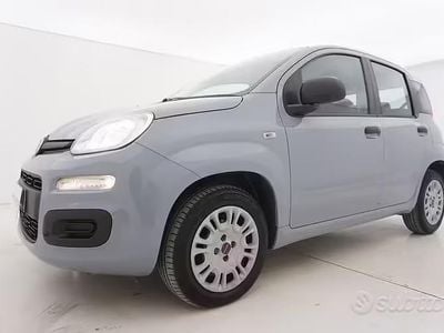 Usata Fiat Panda Easy 69 CV (50 kW) 2020 Grigio Utilitaria