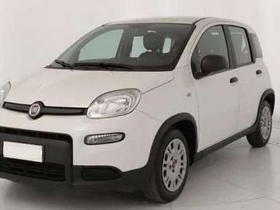 Usata Fiat Panda 69 CV (50 kW) 2021 Bianco gelato pastello extra Utilitaria