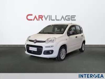 Usata Fiat Panda Easy 69 CV (50 kW) 2019 Bianco Utilitaria