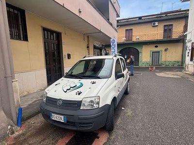 Usata Fiat Panda 60 CV (44 kW) 2008 Utilitaria