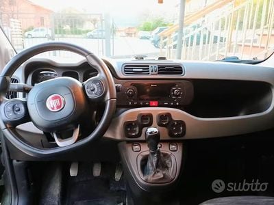Usata Fiat Panda 4x4 95 CV (69 kW) 2017 Verde Utilitaria