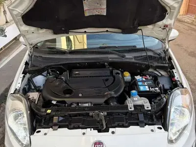 Usata Fiat Punto