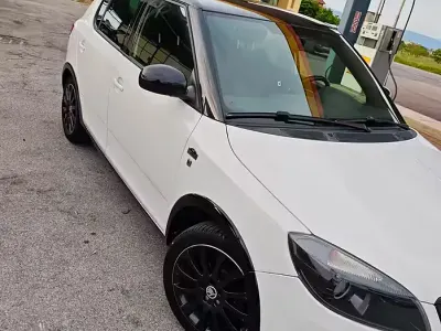 Usata Skoda Fabia