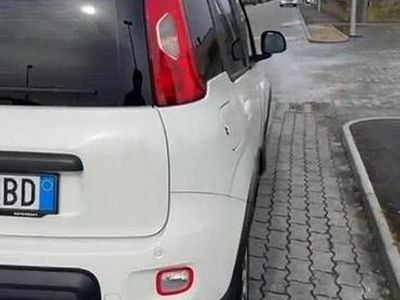 Usata Fiat Panda 4x4 80 CV (58 kW) 2013 Bianco Utilitaria
