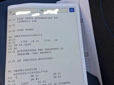 Usata Fiat Punto Evo 2009 Grigio Utilitaria