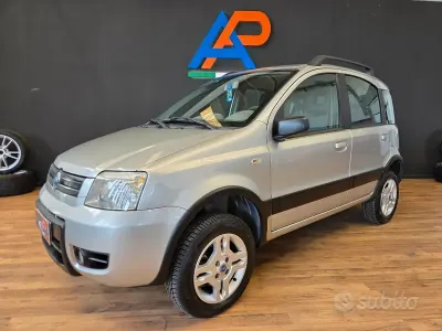 Usata Fiat Panda 4x4 Climbing 69 CV (50 kW) 2006 Grigio Utilitaria