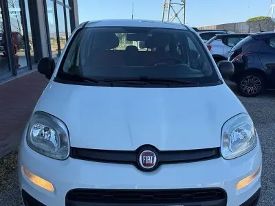 Usata Fiat Panda Easy 69 CV (50 kW) 2015 Bianco Utilitaria