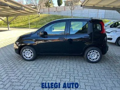 Nuova Fiat Panda Icon 69 CV (50 kW) 2026 Nero Utilitaria