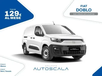 Usata Fiat Doblò