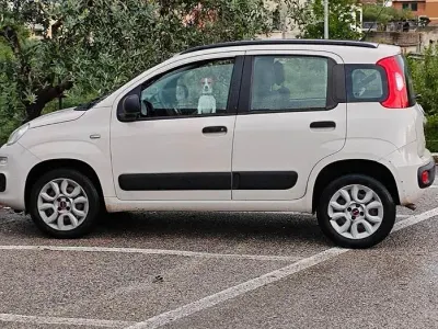 Usata Fiat Panda