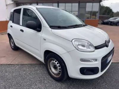 Usata Fiat Panda