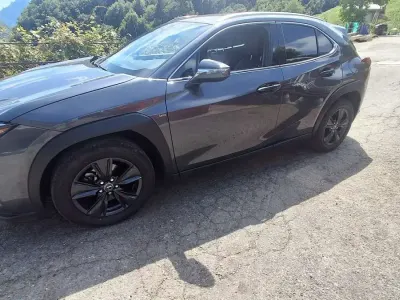 Usata Lexus UX 200 CV (147 kW) 2025 Grigio SUV