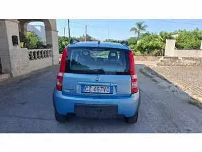 Usata Fiat Panda 4x4