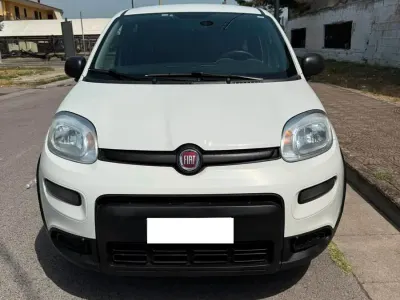 Usata Fiat Panda