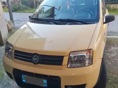 Usata Fiat Panda 4x4 69 CV (50 kW) 2007 Giallo Utilitaria