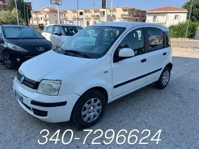 Usata Fiat Panda Dynamic 75 CV (55 kW) 2012 Bianco Utilitaria