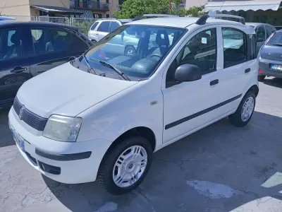 Usata Fiat Panda Dynamic 77 CV (56 kW) 2012 Bianco Utilitaria