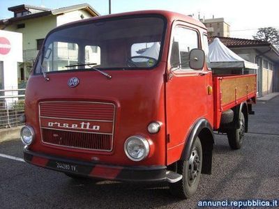 usata Fiat Campagnola OM Orsetto AUTOCARRO 35 Quintali patente B Porcia