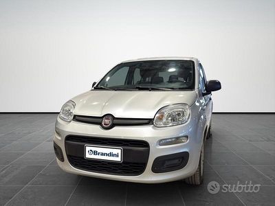 Usata Fiat Panda Easy 69 CV (50 kW) 2019 Grigio Utilitaria