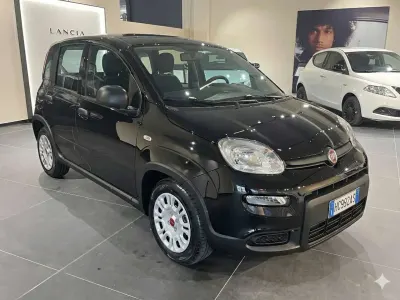 Usata Fiat Panda