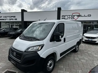 Usata Fiat Ducato 120 CV (88 kW) 2023 Bianco Furgone