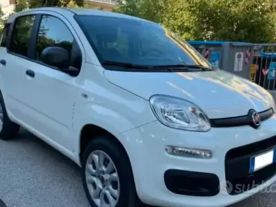 Usata Fiat Panda 85 CV (62 kW) 2012 Bianco Utilitaria