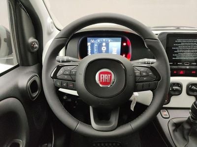 Usata Fiat Panda Cross Cross 70 CV (51 kW) 2025 Verde Utilitaria