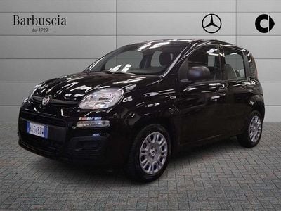 Usata Fiat Panda Icon 69 CV (50 kW) 2025 Nero Utilitaria