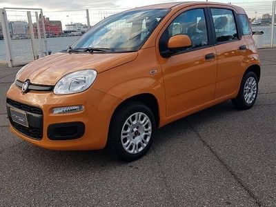 Usata Fiat Panda Easy 69 CV (50 kW) 2020 Nessuno(met.) Utilitaria