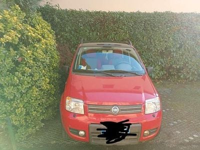 Usata Fiat Panda Active 54 CV (39 kW) 2011 Utilitaria